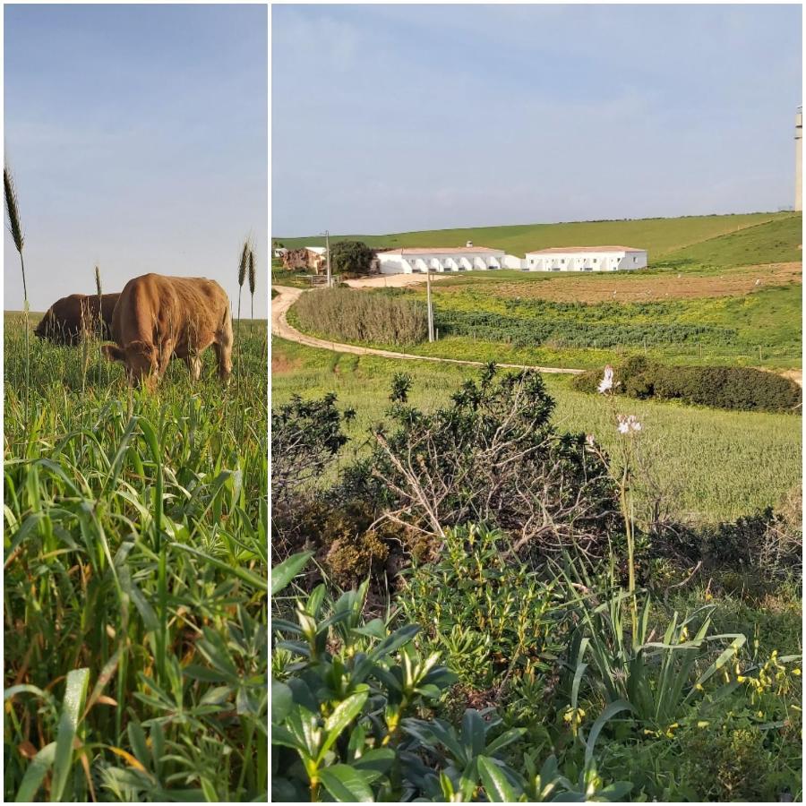 וילה דו ביספו Monte Bagao - Turismo Rural מראה חיצוני תמונה